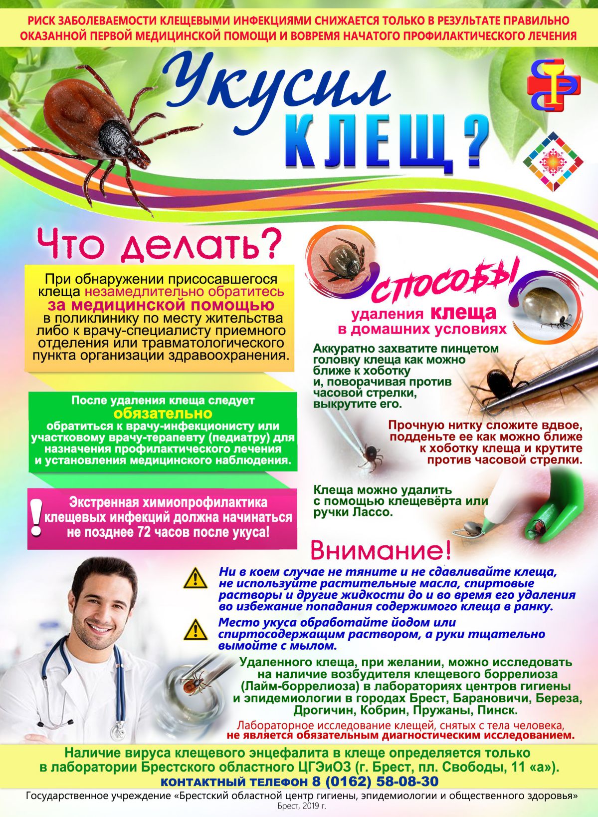 ukusil klesch chto delat 