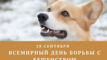 28 сентября – Всемирный день борьбы против бешенства!