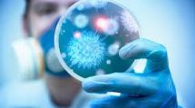 Перечень стран, неблагополучных по инфекционным заболеваниям, которые могут представлять чрезвычайную ситуацию в области общественного здравоохранения, имеющую международное значение (по состоянию на 19.05.2026)